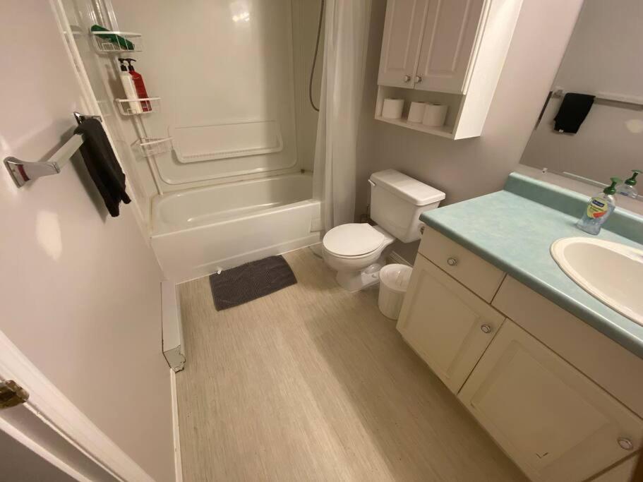 Artistic Apartment Near Downtown Βικτώρια Εξωτερικό φωτογραφία