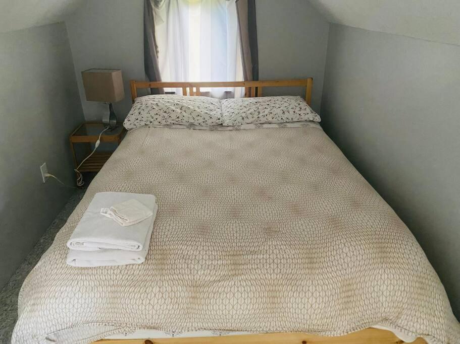 Artistic Apartment Near Downtown Βικτώρια Εξωτερικό φωτογραφία