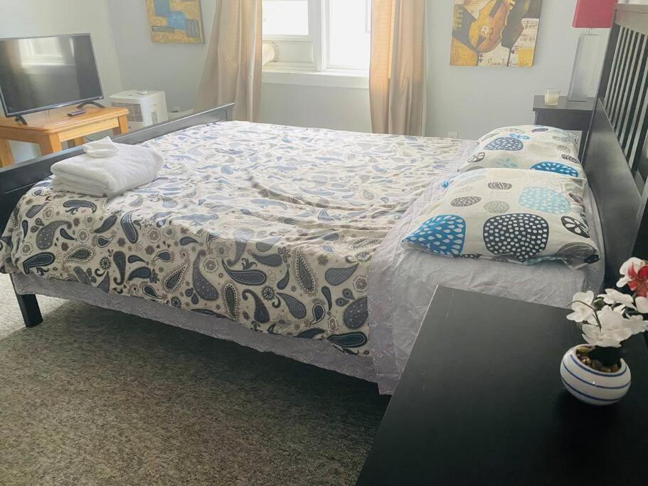 Artistic Apartment Near Downtown Βικτώρια Εξωτερικό φωτογραφία