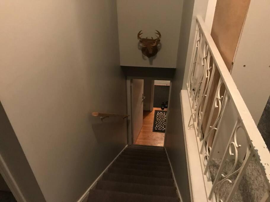 Artistic Apartment Near Downtown Βικτώρια Εξωτερικό φωτογραφία